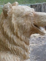 tj13-14 pferde titel oeschs 058